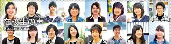 在校生の声