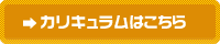 カリキュラムはこちら