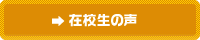 在校生の声