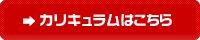 カリキュラムはこちら