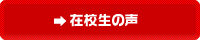 在校生の声